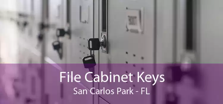 File Cabinet Keys San Carlos Park - FL
