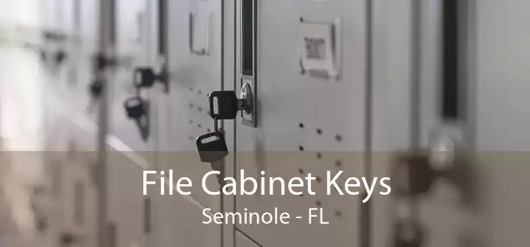 File Cabinet Keys Seminole - FL