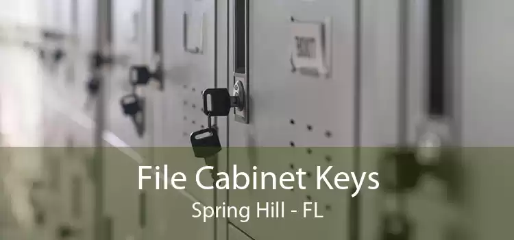 File Cabinet Keys Spring Hill - FL
