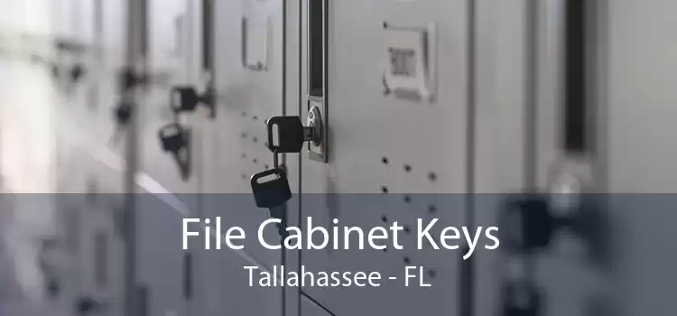 File Cabinet Keys Tallahassee - FL