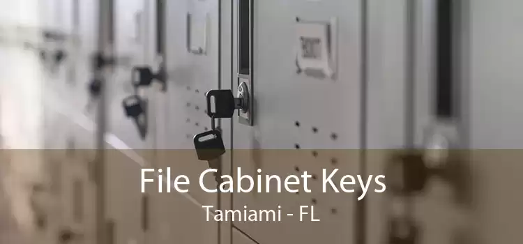 File Cabinet Keys Tamiami - FL