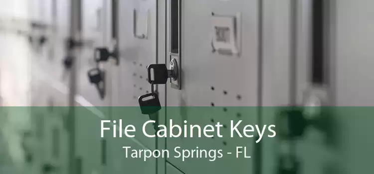 File Cabinet Keys Tarpon Springs - FL