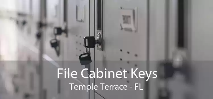 File Cabinet Keys Temple Terrace - FL