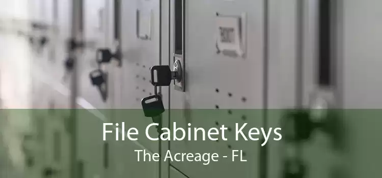 File Cabinet Keys The Acreage - FL