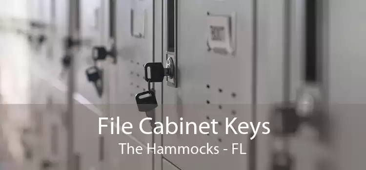 File Cabinet Keys The Hammocks - FL