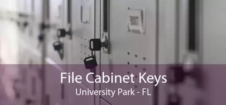 File Cabinet Keys University Park - FL