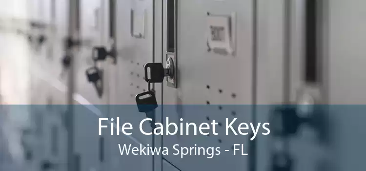 File Cabinet Keys Wekiwa Springs - FL