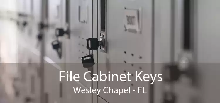 File Cabinet Keys Wesley Chapel - FL