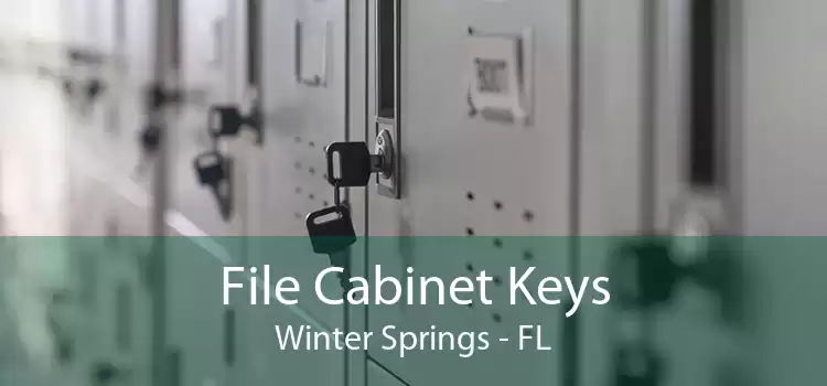File Cabinet Keys Winter Springs - FL