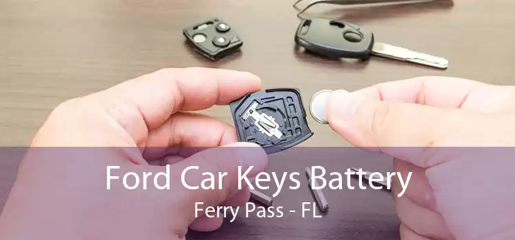 Ford Car Keys Battery Ferry Pass - FL