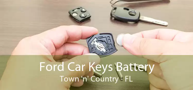 Ford Car Keys Battery Town 'n' Country - FL