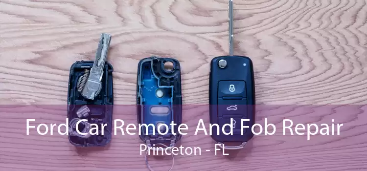 Ford Car Remote And Fob Repair Princeton - FL