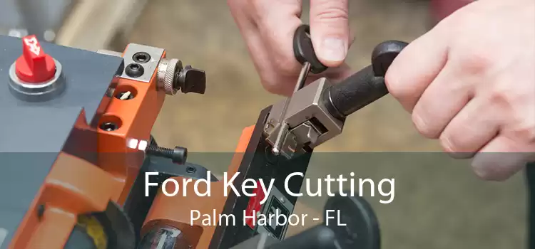 Ford Key Cutting Palm Harbor - FL
