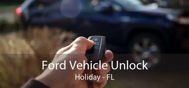 Ford Vehicle Unlock Holiday - FL