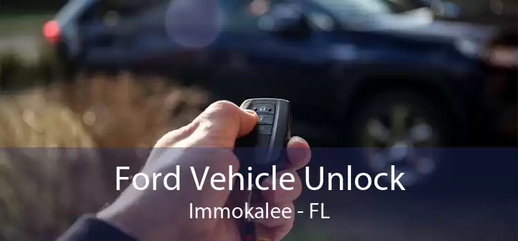 Ford Vehicle Unlock Immokalee - FL
