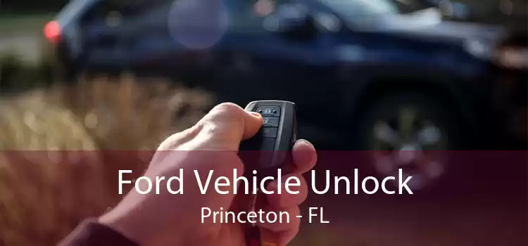 Ford Vehicle Unlock Princeton - FL