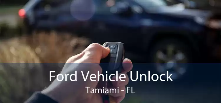 Ford Vehicle Unlock Tamiami - FL