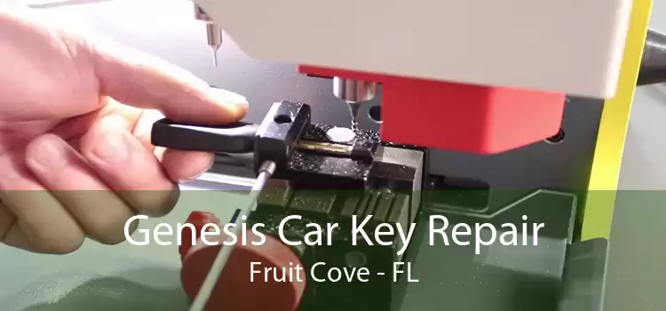 Genesis Car Key Repair Fruit Cove - FL