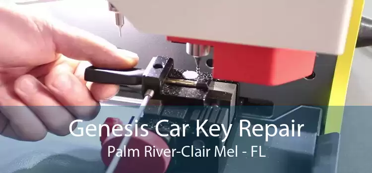 Genesis Car Key Repair Palm River-Clair Mel - FL