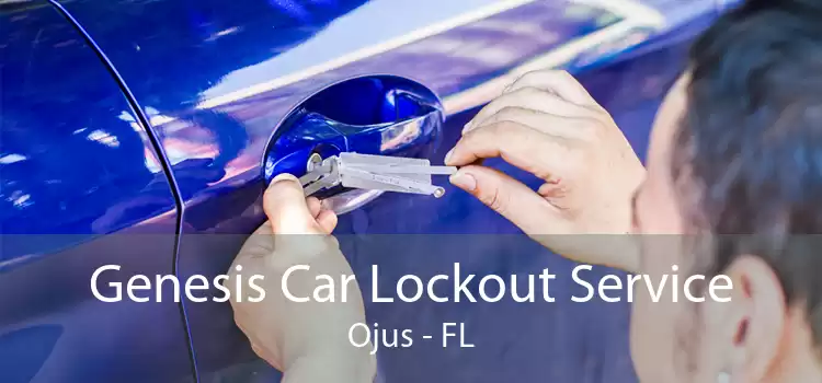 Genesis Car Lockout Service Ojus - FL
