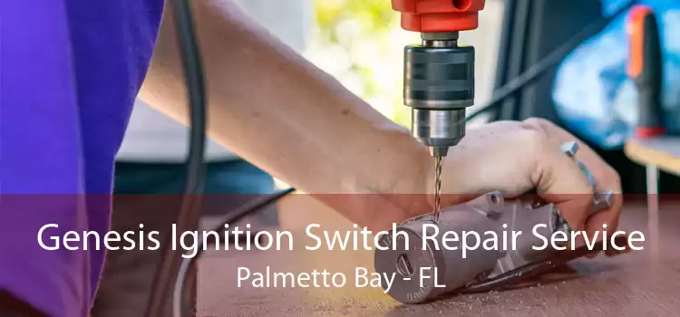 Genesis Ignition Switch Repair Service Palmetto Bay - FL