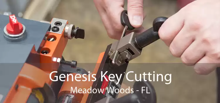 Genesis Key Cutting Meadow Woods - FL