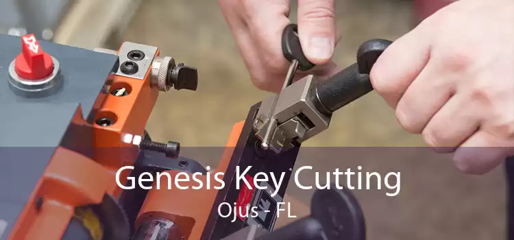 Genesis Key Cutting Ojus - FL