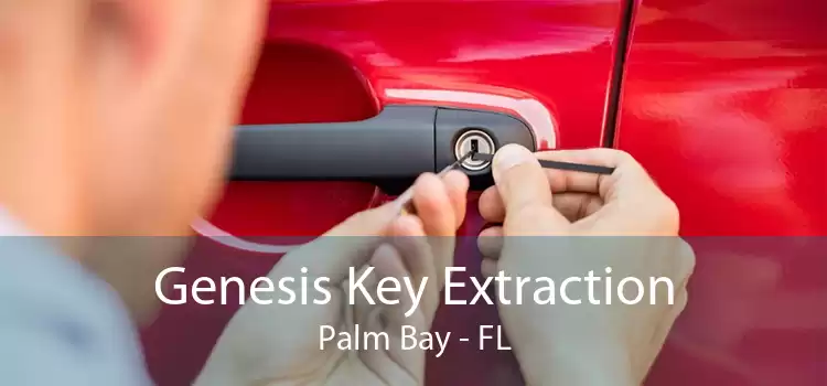 Genesis Key Extraction Palm Bay - FL