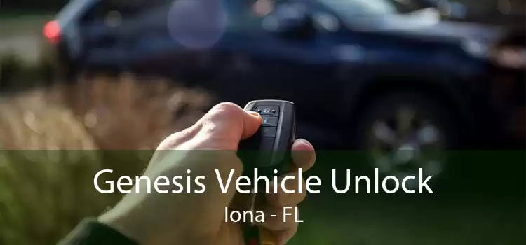 Genesis Vehicle Unlock Iona - FL
