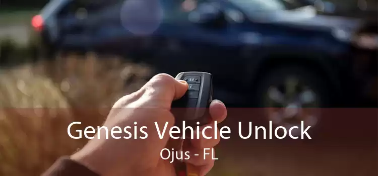 Genesis Vehicle Unlock Ojus - FL