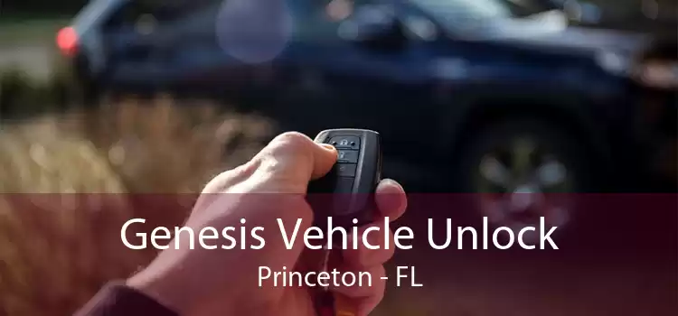 Genesis Vehicle Unlock Princeton - FL