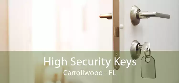 High Security Keys Carrollwood - FL