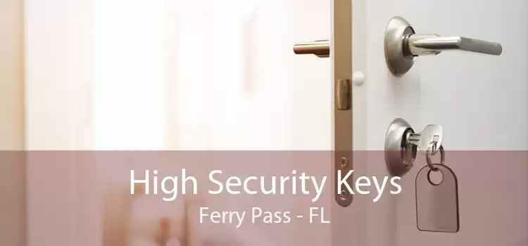 High Security Keys Ferry Pass - FL
