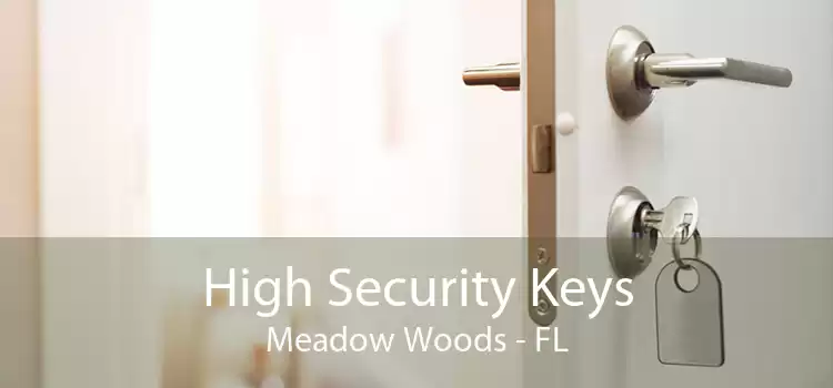 High Security Keys Meadow Woods - FL
