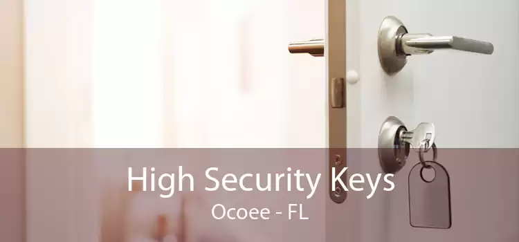 High Security Keys Ocoee - FL