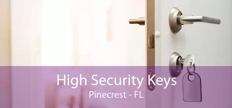 High Security Keys Pinecrest - FL