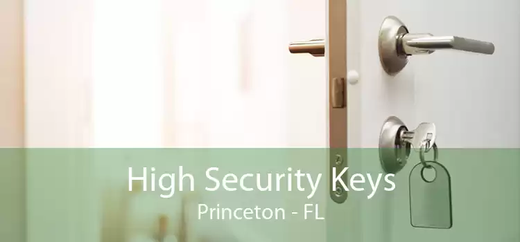 High Security Keys Princeton - FL