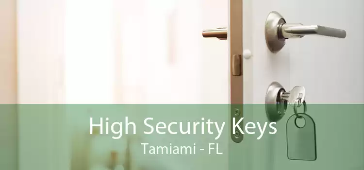 High Security Keys Tamiami - FL