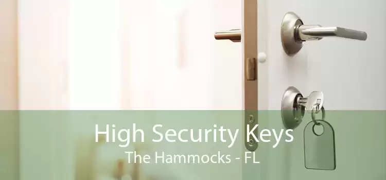 High Security Keys The Hammocks - FL