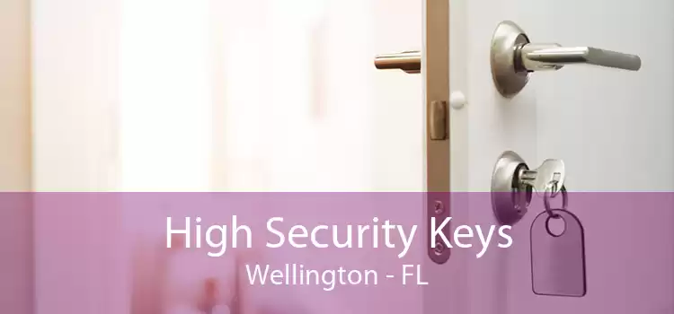 High Security Keys Wellington - FL