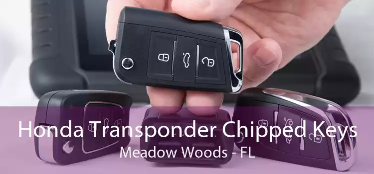Honda Transponder Chipped Keys Meadow Woods - FL