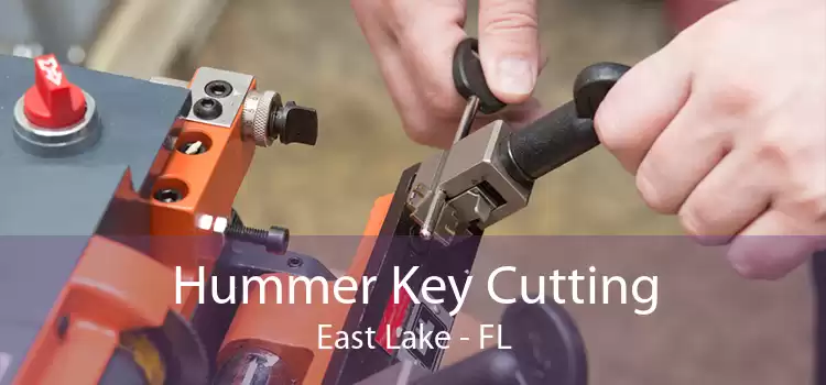 Hummer Key Cutting East Lake - FL