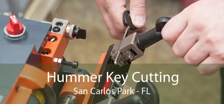 Hummer Key Cutting San Carlos Park - FL