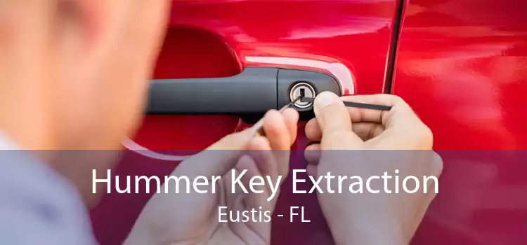 Hummer Key Extraction Eustis - FL