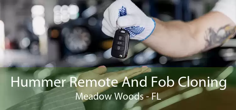 Hummer Remote And Fob Cloning Meadow Woods - FL