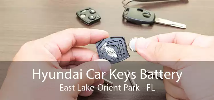 Hyundai Car Keys Battery East Lake-Orient Park - FL