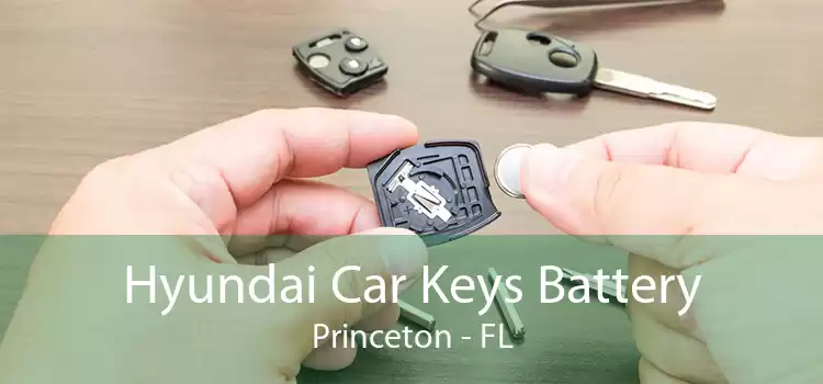 Hyundai Car Keys Battery Princeton - FL