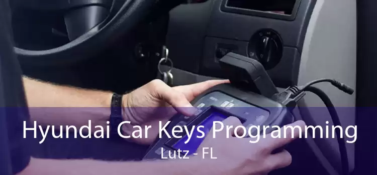 Hyundai Car Keys Programming Lutz - FL