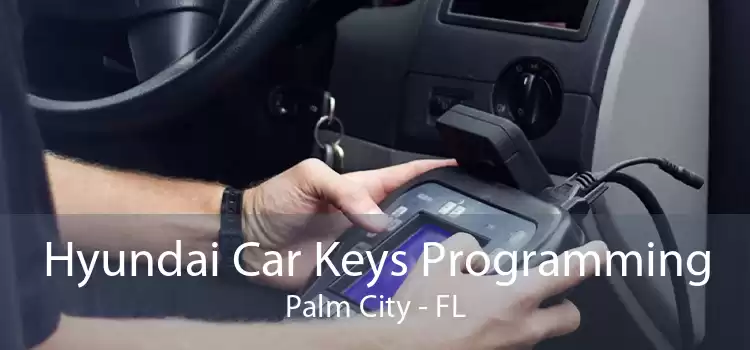 Hyundai Car Keys Programming Palm City - FL