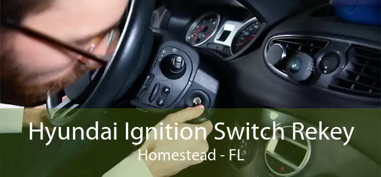 Hyundai Ignition Switch Rekey Homestead - FL